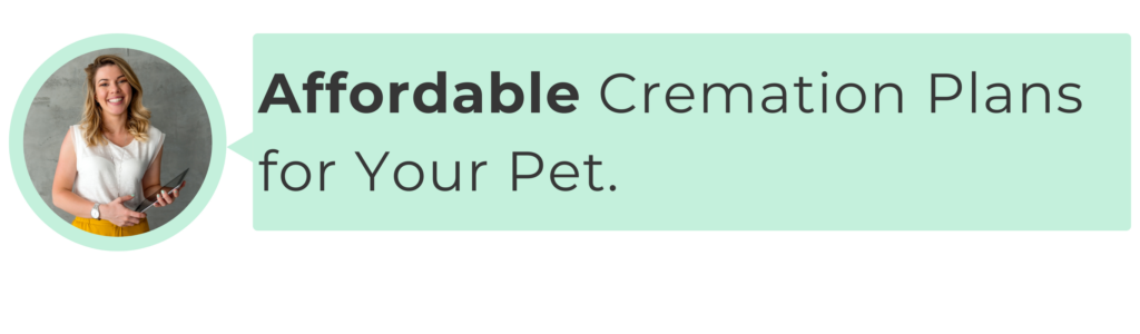 Affordable Cremation for your pet.
